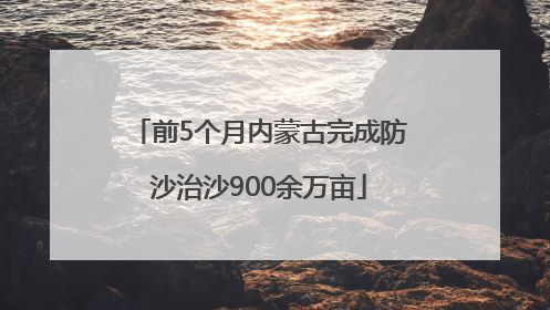前5个月内蒙古完成防沙治沙900余万亩