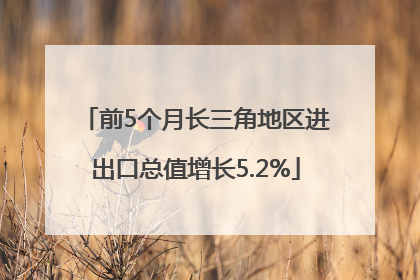 前5个月长三角地区进出口总值增长5.2%