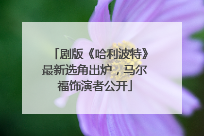 剧版《哈利波特》最新选角出炉，马尔福饰演者公开