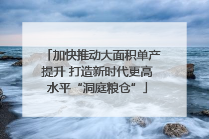 加快推动大面积单产提升 打造新时代更高水平“洞庭粮仓”
