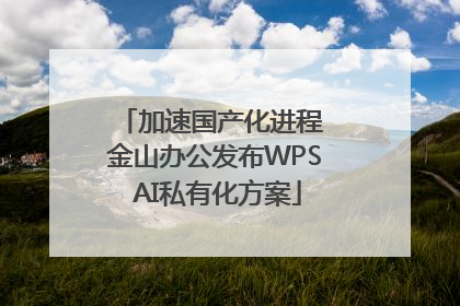 加速国产化进程 金山办公发布WPS AI私有化方案