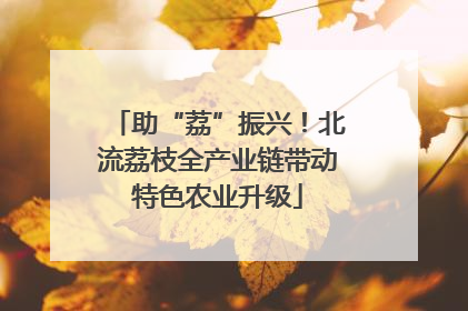 助“荔”振兴！北流荔枝全产业链带动特色农业升级