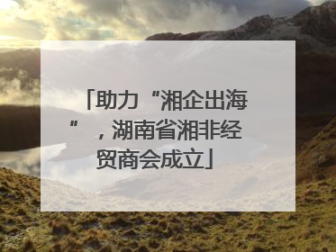 助力“湘企出海”，湖南省湘非经贸商会成立