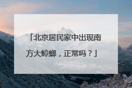 北京居民家中出现南方大蟑螂，正常吗？