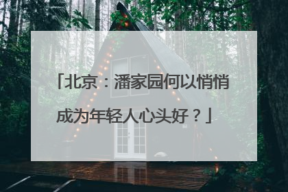 北京：潘家园何以悄悄成为年轻人心头好？