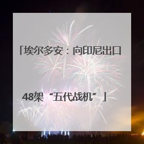 埃尔多安：向印尼出口48架“五代战机”
