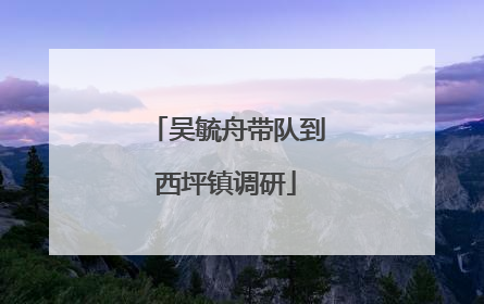 吴毓舟带队到西坪镇调研