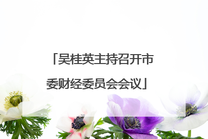 吴桂英主持召开市委财经委员会会议