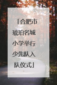 合肥市琥珀名城小学举行少先队入队仪式