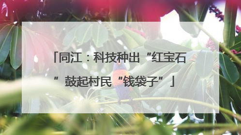 同江：科技种出“红宝石”鼓起村民“钱袋子”