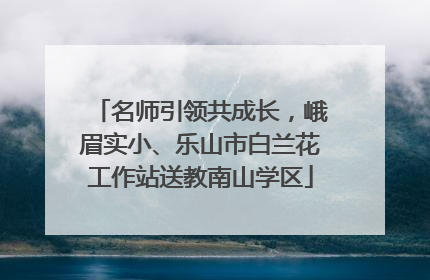 名师引领共成长，峨眉实小、乐山市白兰花工作站送教南山学区