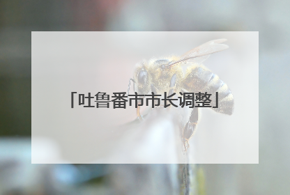 吐鲁番市市长调整