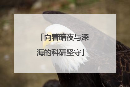 向着暗夜与深海的科研坚守