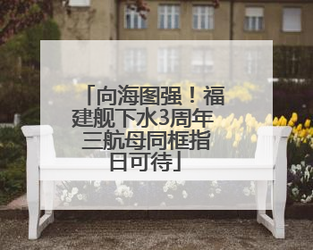 向海图强！福建舰下水3周年 三航母同框指日可待