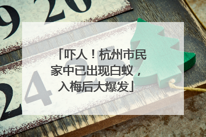 吓人！杭州市民家中已出现白蚁，入梅后大爆发