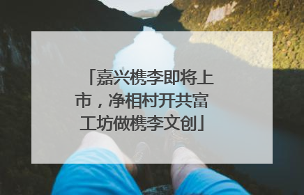 嘉兴槜李即将上市，净相村开共富工坊做槜李文创