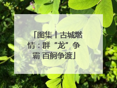 图集丨古城燃情：群“龙”争霸 百舸争渡