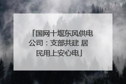 国网十堰东风供电公司：支部共建 居民用上安心电