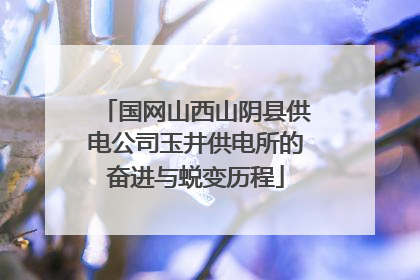国网山西山阴县供电公司玉井供电所的奋进与蜕变历程