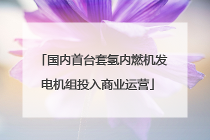 国内首台套氢内燃机发电机组投入商业运营