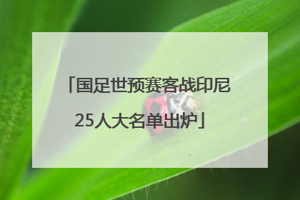 国足世预赛客战印尼25人大名单出炉