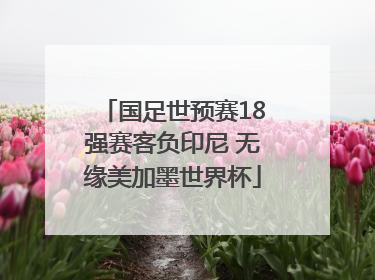 国足世预赛18强赛客负印尼 无缘美加墨世界杯
