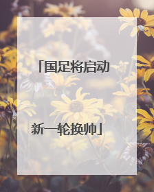 国足将启动新一轮换帅