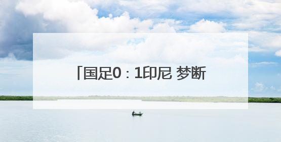 国足0∶1印尼 梦断雅加达 无缘美加墨