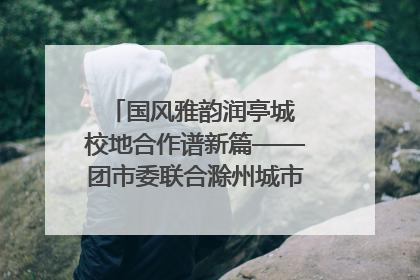 国风雅韵润亭城 校地合作谱新篇——团市委联合滁州城市职业学院助力传统文化“破圈”绽放