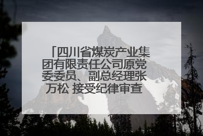 四川省煤炭产业集团有限责任公司原党委委员、副总经理张万松 接受纪律审查和监察调查