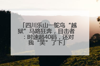 四川乐山一鸵鸟“越狱”马路狂奔，目击者：时速超40码，还对我“笑”了下