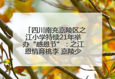 四川南充嘉陵区之江小学持续21年举办“感恩节”：之江恩情育桃李 嘉陵少年志栋梁