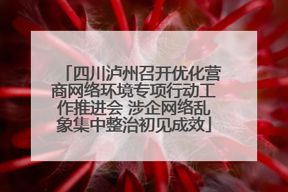 四川泸州召开优化营商网络环境专项行动工作推进会 涉企网络乱象集中整治初见成效