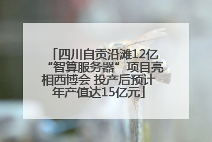 四川自贡沿滩12亿“智算服务器”项目亮相西博会 投产后预计年产值达15亿元
