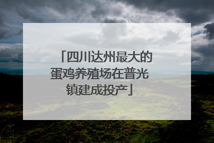 四川达州最大的蛋鸡养殖场在普光镇建成投产