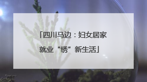 四川马边：妇女居家就业“绣”新生活