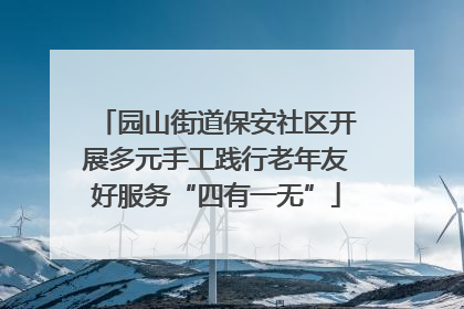 园山街道保安社区开展多元手工践行老年友好服务“四有一无”