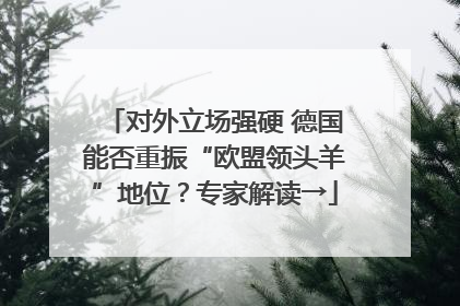 对外立场强硬 德国能否重振“欧盟领头羊”地位？专家解读→