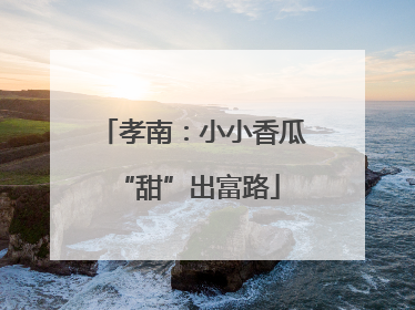 孝南：小小香瓜 “甜”出富路