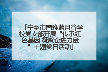 宁乡市南雅蓝月谷学校党支部开展“传承红色基因 凝聚奋进力量”主题党日活动