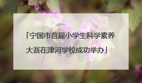 宁国市首届小学生科学素养大赛在津河学校成功举办