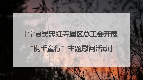 宁夏吴忠红寺堡区总工会开展“携手童行”主题慰问活动