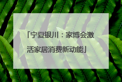 宁夏银川：家博会激活家居消费新动能