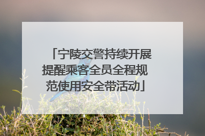 宁陵交警持续开展提醒乘客全员全程规范使用安全带活动