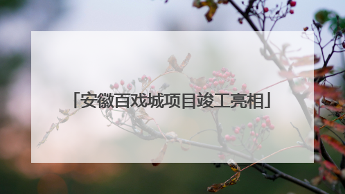 安徽百戏城项目竣工亮相