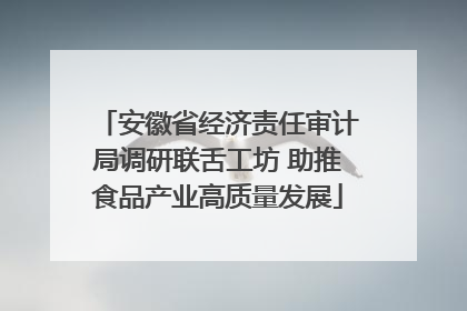 安徽省经济责任审计局调研联舌工坊 助推食品产业高质量发展