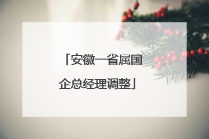 安徽一省属国企总经理调整