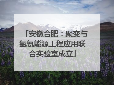 安徽合肥：聚变与氢氨能源工程应用联合实验室成立