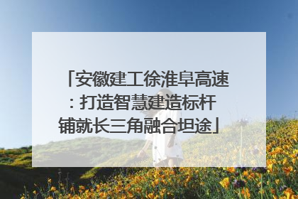 安徽建工徐淮阜高速：打造智慧建造标杆 铺就长三角融合坦途