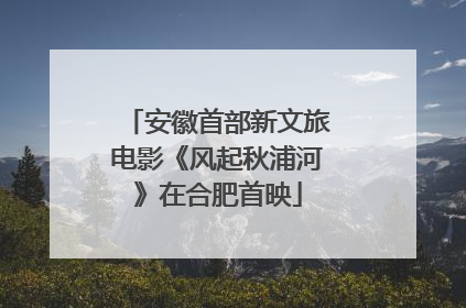 安徽首部新文旅电影《风起秋浦河》在合肥首映